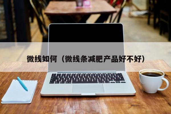 微线如何（微线条减肥产品好不好）